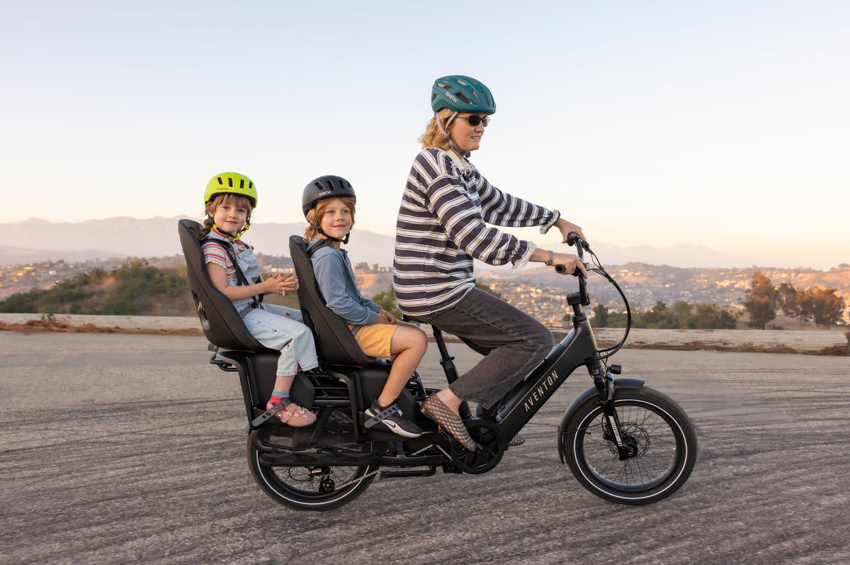 Aventon Abound LR Cargo Ebike - product gallery photo