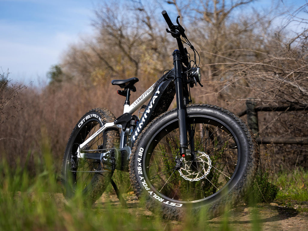Himiway D7 Pro Mountain electric bike