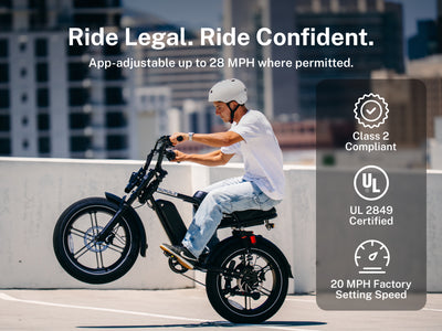 Heybike Titan Moped Style Ebike