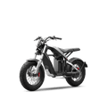 Segway Xyber Electric Moto – Ultra-Powerful Motor E-Bike for Off-Road & Street